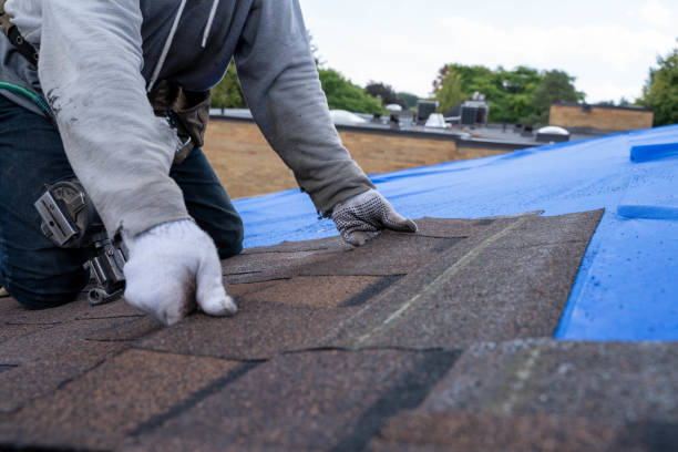 Best Commercial Roofing Services  in Morris, IL