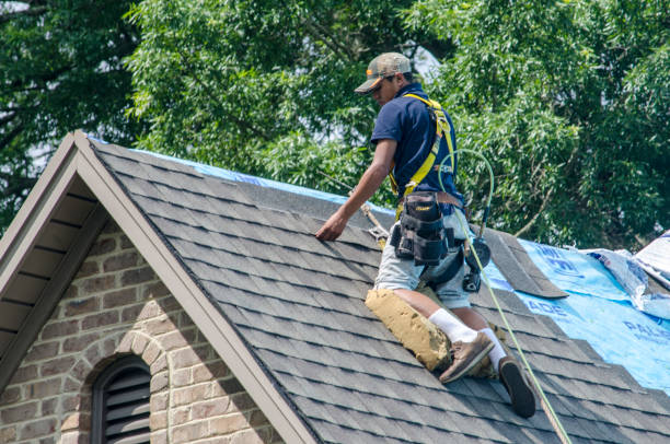 Best Storm Damage Roof Repair  in Morris, IL