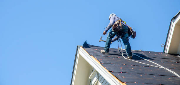 Best Roof Gutter Cleaning  in Morris, IL